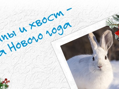 ЗАЯЦ, ЗАЙЧОНОК – СИМВОЛ ГОДА