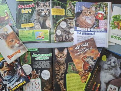 СУСВЕТНЫ ДЗЕНЬ КОШАК